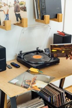 The Palmer Cerulean The Palmer 19 The Palmer Cerulean The Palmer -Primuss Camping Geschaft ErikUrsin TJB Palmer LA Environment RoughSelects Digital 51 1280x1280