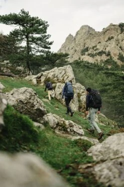 FJÄLLRÄVEN Wanderrucksack Kajka 35 M/L 35l 620 - Green Wanderrucksack Kajka 35 M/L 20 FJÄLLRÄVEN Wanderrucksack Kajka 35 M/L 35l 620 - Green Wanderrucksack Kajka 35 M/L -Primuss Camping Geschaft Mood SS23 SilvanoZeiter Kajka35 0470 EXP 2028 02 01 1280x1280