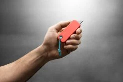 The Palmer Cerulean The Palmer 25 The Palmer Cerulean The Palmer -Primuss Camping Geschaft Palmer Coral In Hand 1280x1280