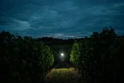 Ledlenser H7R Signature Stirnlampe H7R Signature Stirnlampe 15 Ledlenser H7R Signature Stirnlampe H7R Signature Stirnlampe -Primuss Camping Geschaft ledlenser h7r signature 502197 trailrunner3bQOFJYJw0kgIz 1280x1280