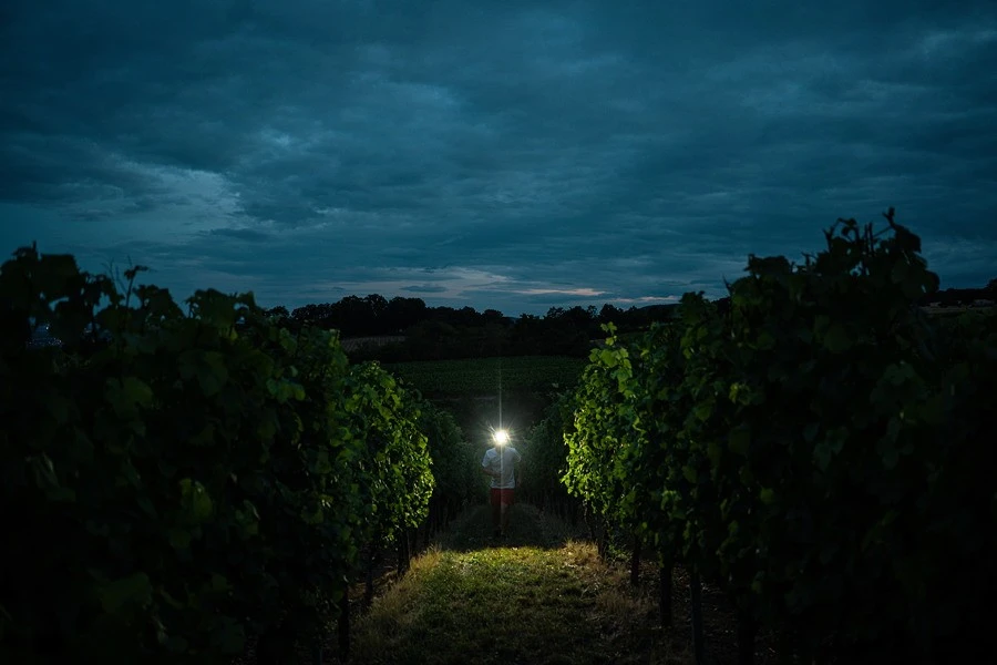 Ledlenser H7R Signature Stirnlampe H7R Signature Stirnlampe 9 Ledlenser H7R Signature Stirnlampe H7R Signature Stirnlampe – Bild 7