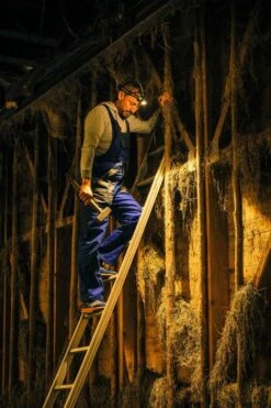 Ledlenser H7R Work Stirnlampe H7R Work Stirnlampe 13 Ledlenser H7R Work Stirnlampe H7R Work Stirnlampe -Primuss Camping Geschaft ledlenser h7r work 502195 outdoorFPxp6nC4NY7b6 1280x1280