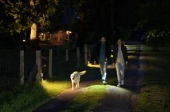 Ledlenser P7R Core Taschenlampe P7R Core Taschenlampe 13 Ledlenser P7R Core Taschenlampe P7R Core Taschenlampe -Primuss Camping Geschaft ledlenser p7r core 502181 home lifeWZQiU9DWwooMX 1280x1280